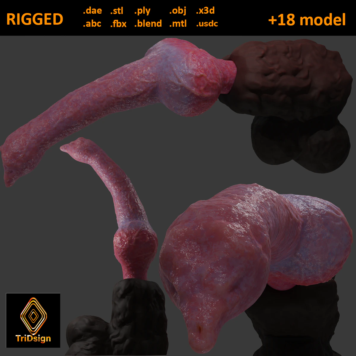 Knotted Dog Penis Sextoy Rigged 3D Model .c4d .max .obj .3ds .fbx .stl .blend 
