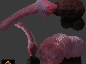 Knotted Dog Penis Sextoy Rigged 3Dモデル