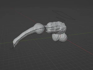 Knotted Dog Penis Sextoy Rigged 3D Model