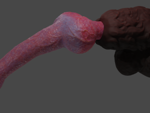 Knotted Dog Penis Sextoy Rigged Model 3D