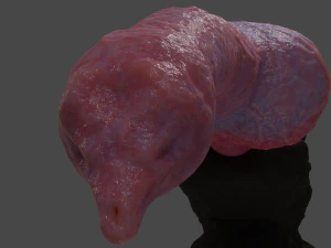 Knotted Dog Penis Sextoy Rigged 3D Model