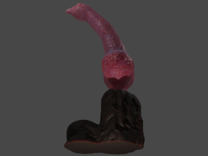 Knotted Dog Penis Sextoy Rigged Model 3D
