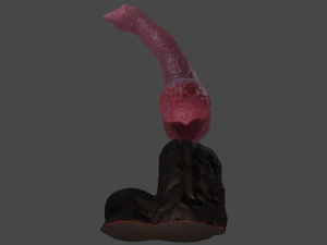 Knotted Dog Penis Sextoy Rigged 3D Model
