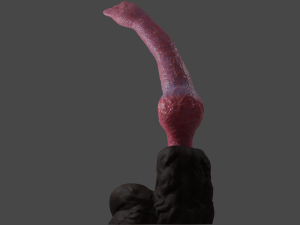 Knotted Dog Penis Sextoy Rigged Model 3D