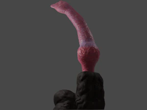 Knotted Dog Penis Sextoy Rigged 3D Model