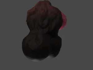 Knotted Dog Penis Sextoy Rigged 3D Model