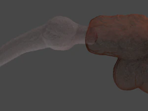 Knotted Dog Penis Sextoy Rigged 3D Model
