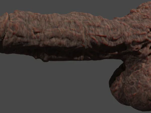 Elemental Terran Penis Sextoy Rigged 3D Model