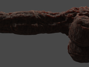 Elemental Terran Penis Sextoy Rigged Modello 3D