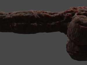 Elemental Terran Penis Sextoy Rigged 3D Model