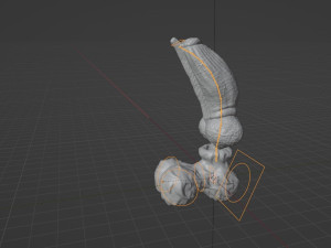 Fantasy Boris Dog Penis Sextoy Rigged Modello 3D