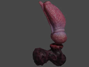 Fantasy Boris Dog Penis Sextoy Rigged Modello 3D