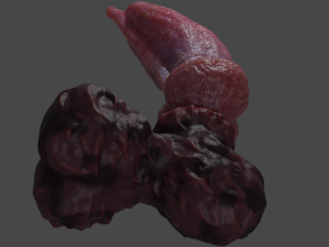 Fantasy Boris Dog Penis Sextoy Rigged Modello 3D