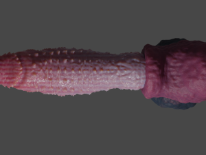 Fantasy Spiked Demon Penis Sextoy Rigged Modèle 3D