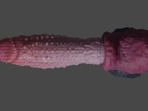 Sextoy &agrave; p&eacute;nis d&eacute;moniaque &agrave; pointes fantastiques truqu&eacute; Modèle 3D