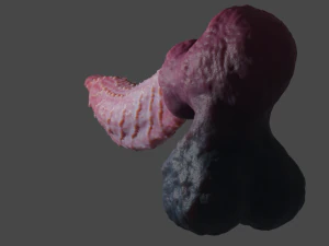 Sextoy &agrave; p&eacute;nis d&eacute;moniaque &agrave; pointes fantastiques truqu&eacute; Modèle 3D