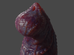 Drokillan Premium Dragon Penis Sextoy Rigged Model 3D