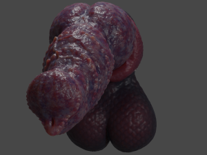 Drokillan Premium Dragon Penis Sextoy Rigged Model 3D