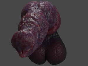 Drokillan Premium Dragon Pene Sextoy aparejado Modelo 3D