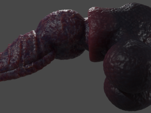 Drokillan Premium Dragon Penis Sextoy Rigged Model 3D