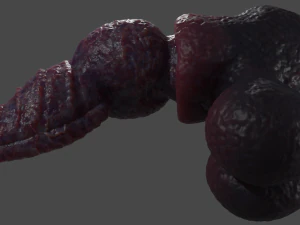 Drokillan Premium Dragon Pene Sextoy aparejado Modelo 3D