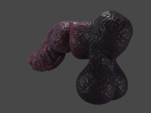 Drokillan Premium Dragon Penis Sextoy Rigged Model 3D