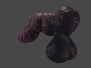 Drokillan Premium Dragon Pene Sextoy aparejado Modelo 3D