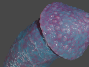 Vexmorath Dragon-Horse Penis Sextoy Rigged Modelo 3D