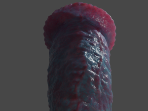 Vexmorath Dragon-Horse Penis Sextoy Rigged Modelo 3D