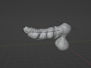 Nillo Dragon Penis Sextoy Rigged Modello 3D