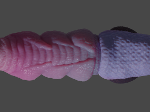 Nillo Dragon Penis Sextoy Rigged Modello 3D