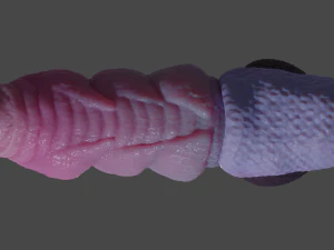 Nillo Dragon Penis Sextoy Rigged 3D Model