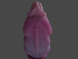 Nillo Dragon Penis Sextoy Rigged Modello 3D