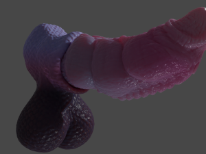Nillo Dragon Penis Sextoy Rigged Modello 3D