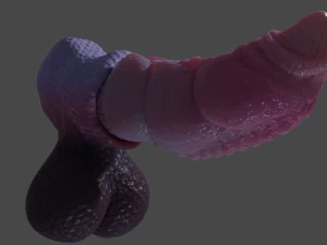 Nillo Dragon Penis Sextoy Rigged 3D Model
