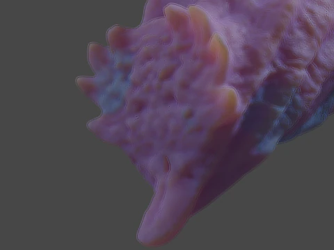 Cottoncandy Monster Wolf Penis Sextoy Rigged 3D Model
