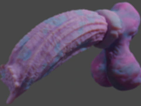 Cottoncandy Monster Wolf Penis Sextoy Rigged 3D Model