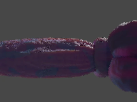 Cottoncandy Monster Wolf Penis Sextoy Rigged 3D Model