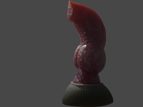 Print ready Dragon Wolf penis sextoy mold Modelo 3D