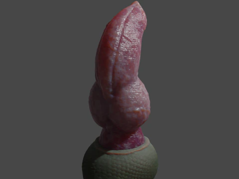 Printklare Dragon Wolf penis sextoy mal 3D Model