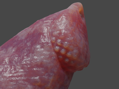 Print ready Dragon Wolf penis sextoy mold Modelo 3D