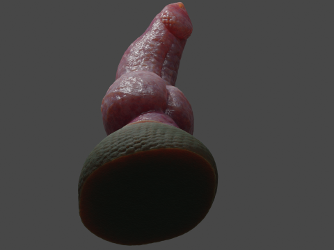 Print ready Dragon Wolf penis sextoy mold Modelo 3D
