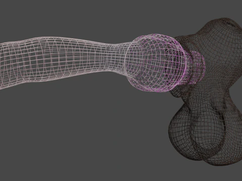Dog Penis Lowpoly Rigged 3D Model