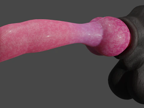 Dog Penis Lowpoly Rigged 3D Model