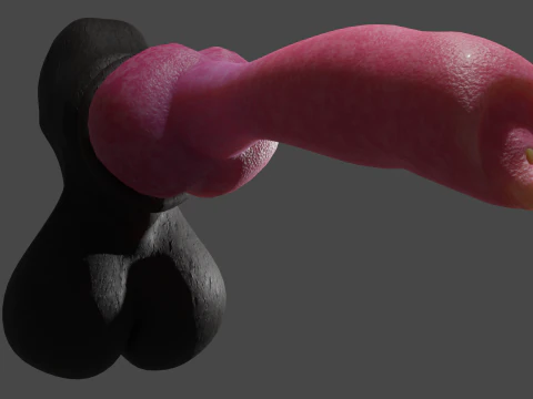 Dog Penis Lowpoly Rigged 3D Model