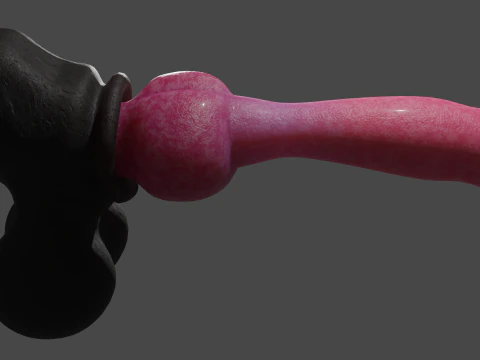 Dog Penis Lowpoly Rigged 3D Model