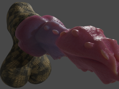 Dragon Penis Lowpoly Rigged Model 3D
