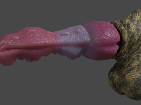 Dragon Penis Lowpoly Rigged Model 3D