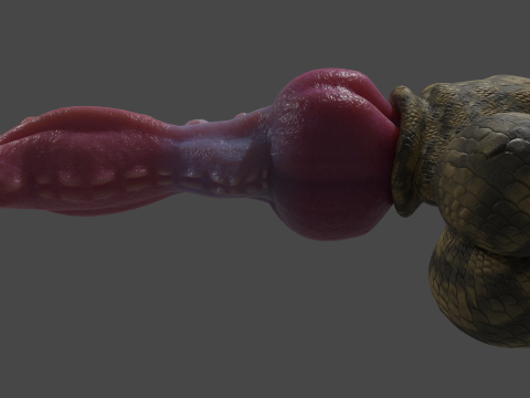 Dragon Penis Lowpoly Rigged Model 3D