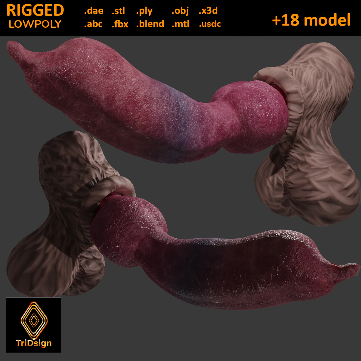 Big Dog Penis Lowpoly Rigged 3D Model .c4d .max .obj .3ds .fbx .stl .blend
